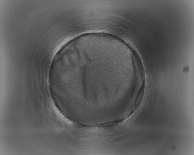 X0000112770797200909171312