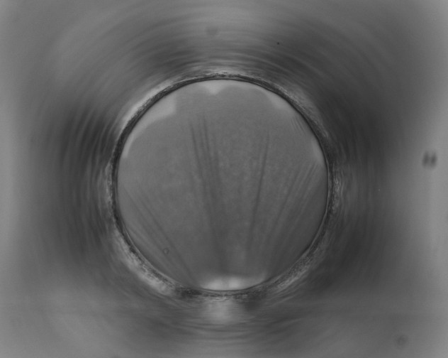 X0000112770798200909171312