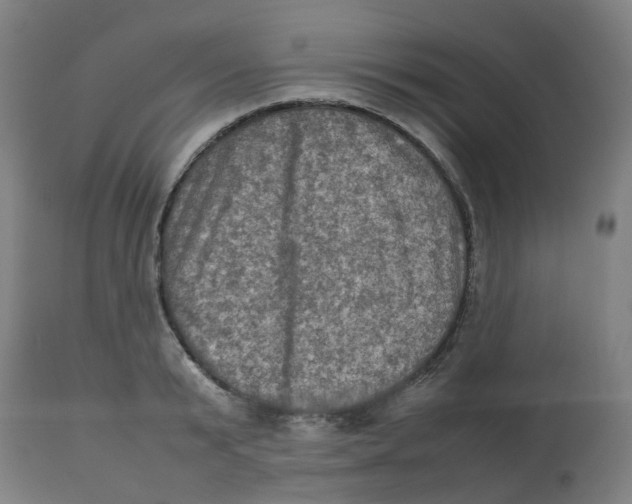 X0000112770799200909171312