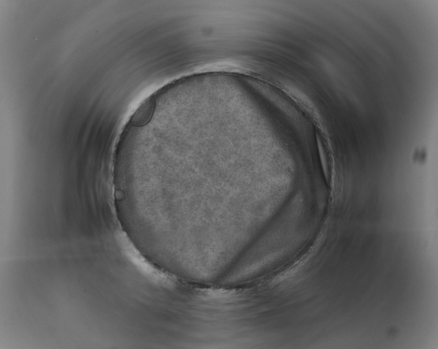 X0000112770800200909171312