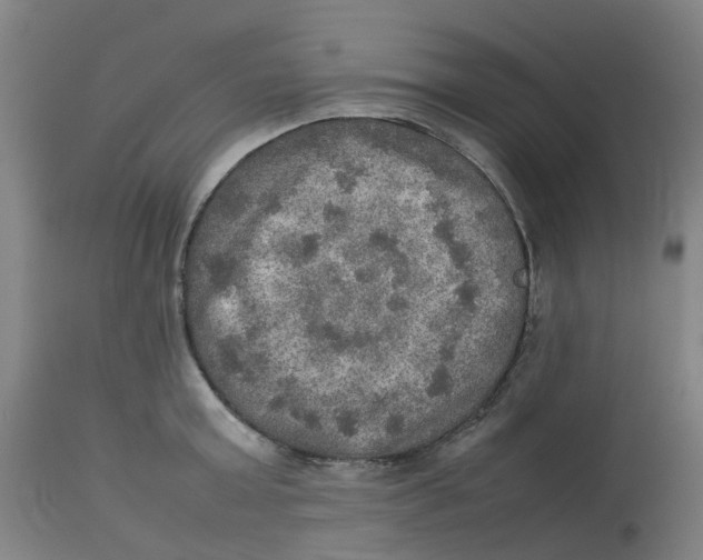 X0000112770803200909171312