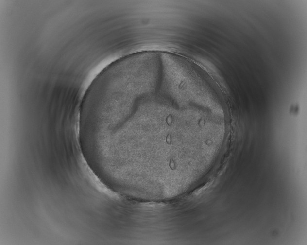 X0000112770804200909171312