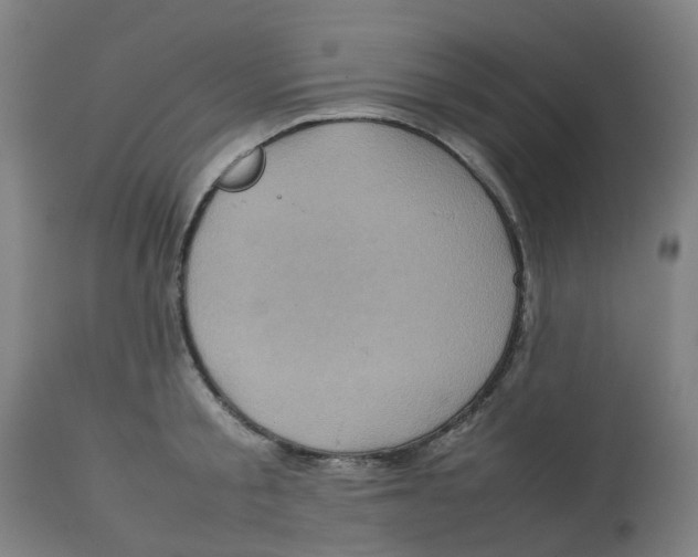 X0000112770805200909171312