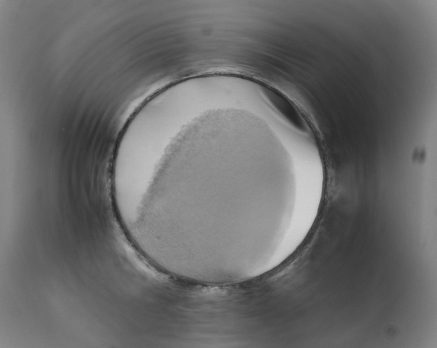 X0000112770806200909171312