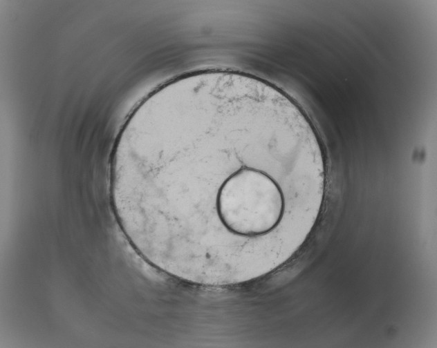 X0000112770807200909171312