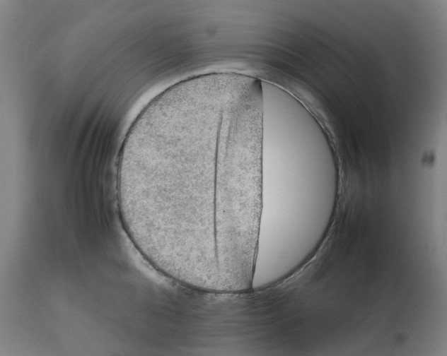 X0000112770808200909171312