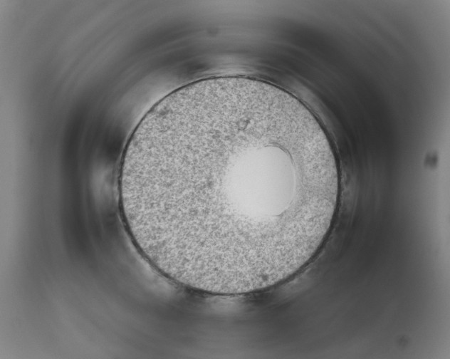 X0000112770810200909171312