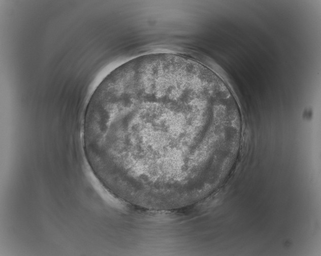 X0000112770811200909171312