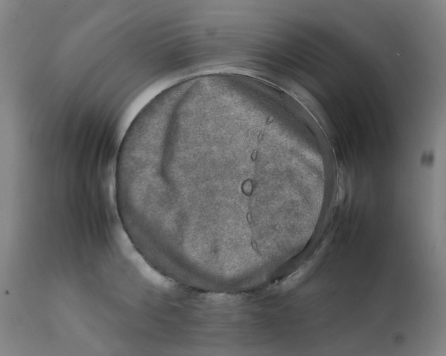 X0000112770812200909171312