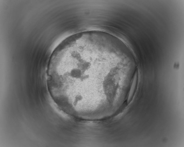 X0000112770814200909171311