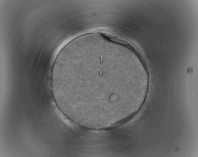 X0000112770816200909171311