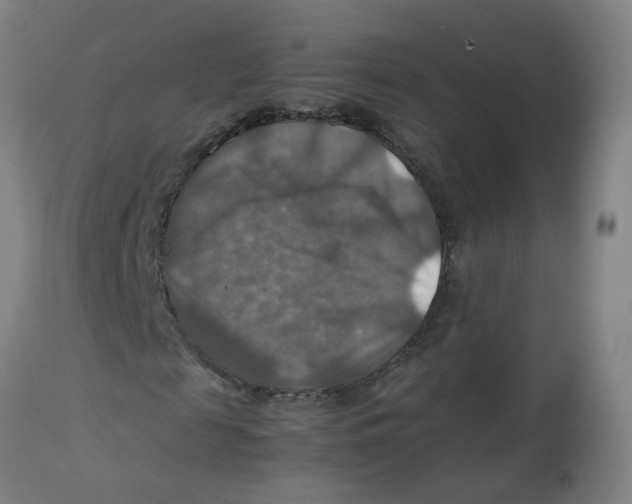 X0000112770817200909171310