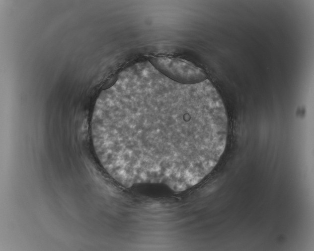 X0000112770818200909171310