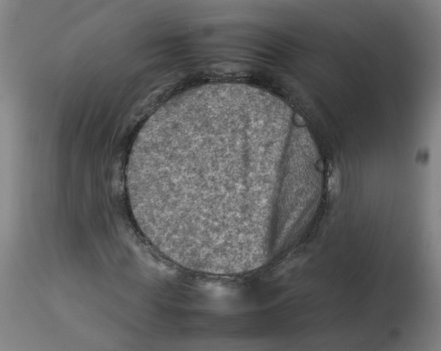 X0000112770819200909171310