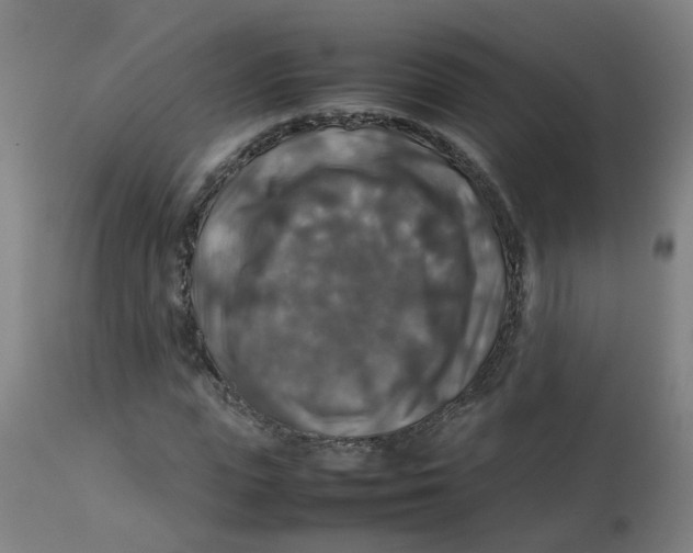 X0000112770823200909171311