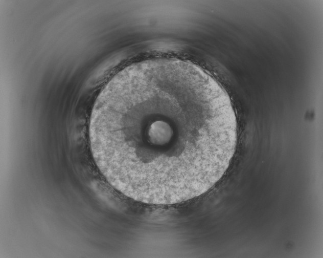 X0000112770824200909171311