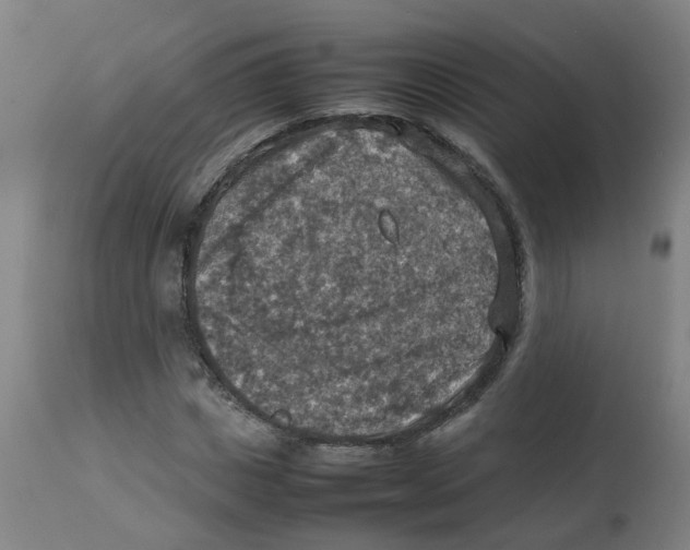 X0000112770825200909171311