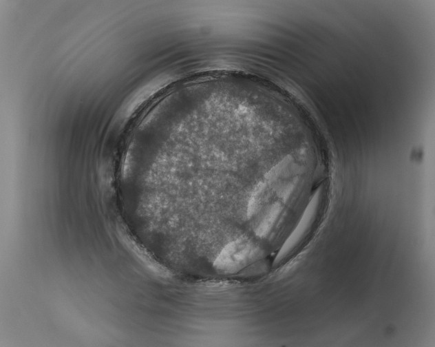 X0000112770826200909171311