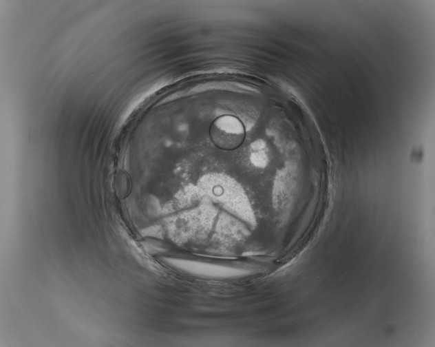 X0000112770827200909171311