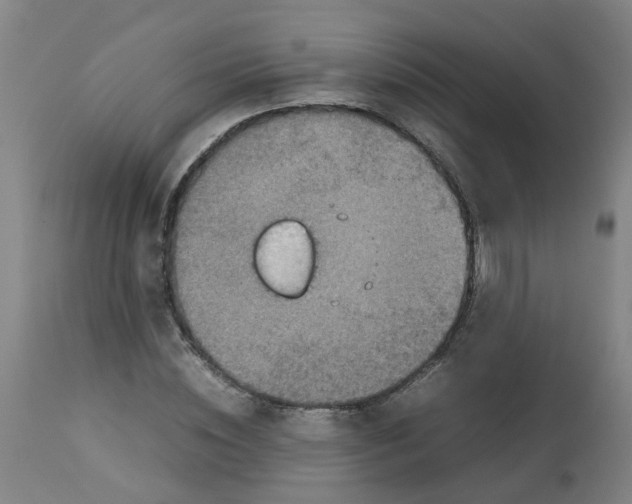 X0000112770828200909171311