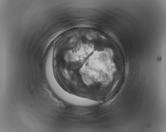 X0000112770829200909171311