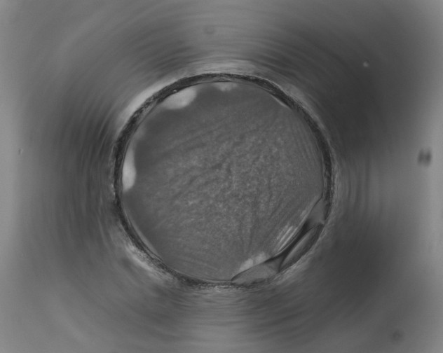 X0000112770830200909171311