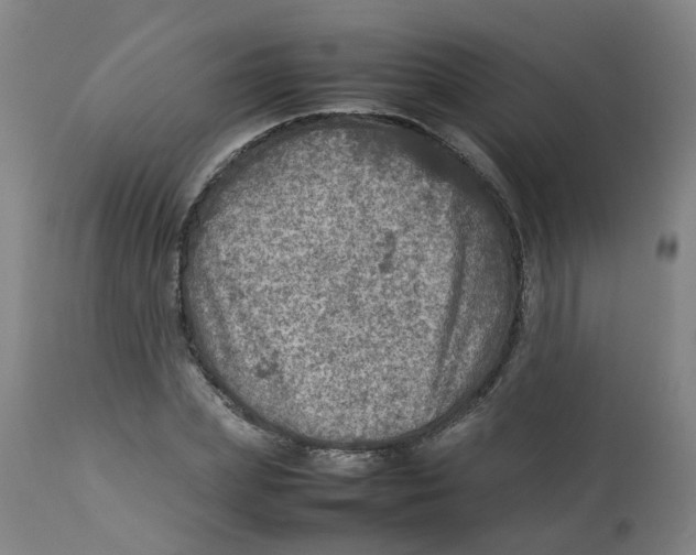 X0000112770831200909171311