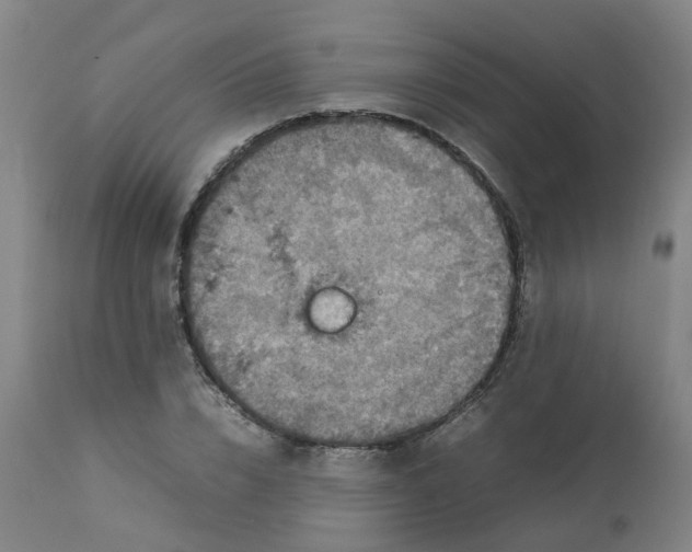 X0000112770832200909171311