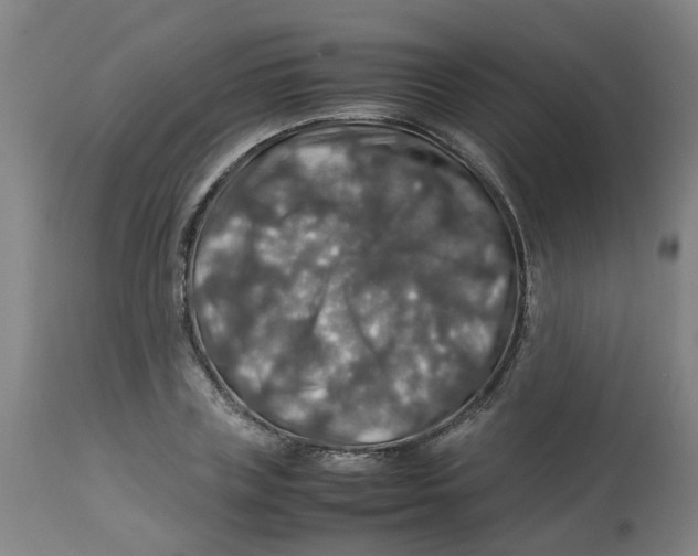 X0000112770835200909171311