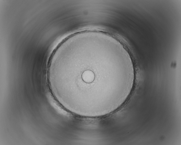 X0000112770836200909171311