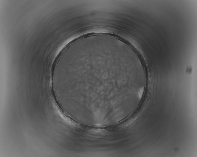 X0000112770837200909171311