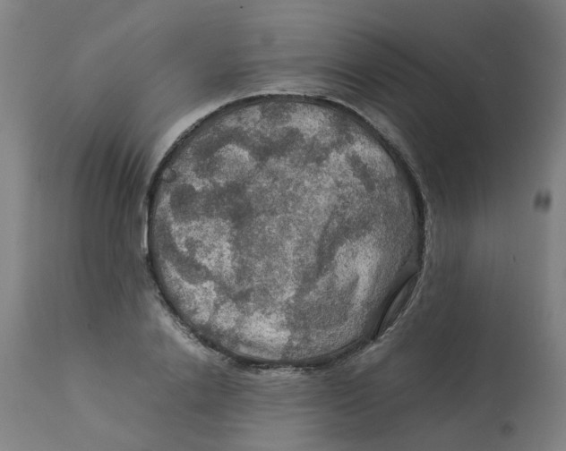 X0000112770838200909171311