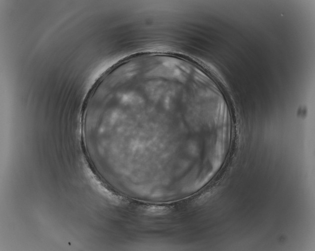 X0000112770839200909171311