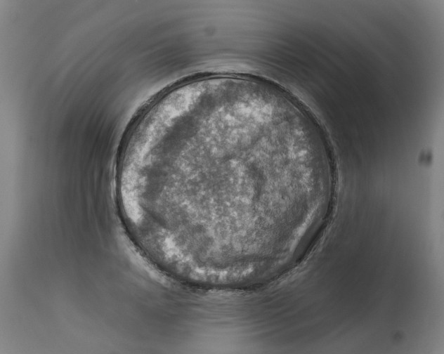 X0000112770840200909171311