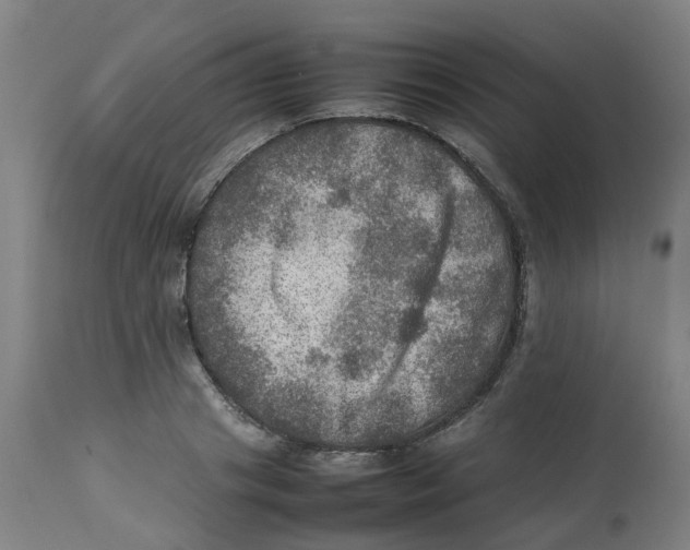 X0000112770841200909171311