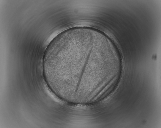 X0000112770842200909171311