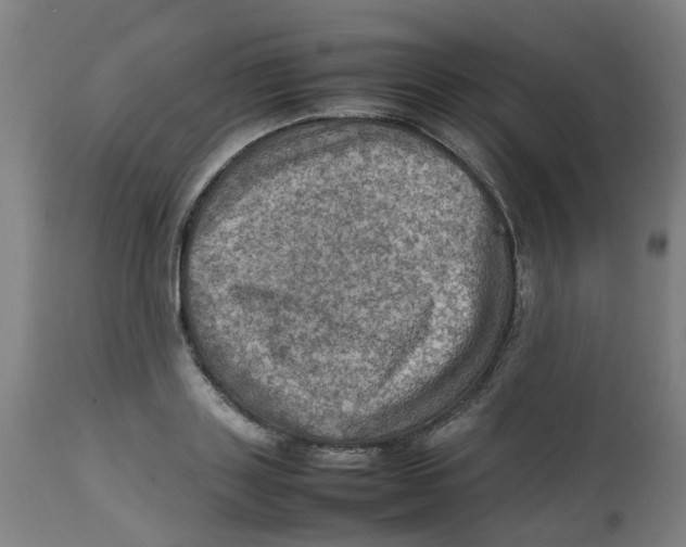 X0000112770843200909171311