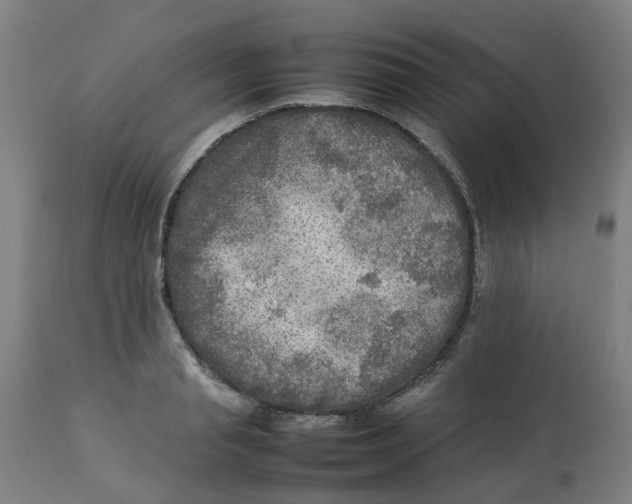 X0000112770845200909171311