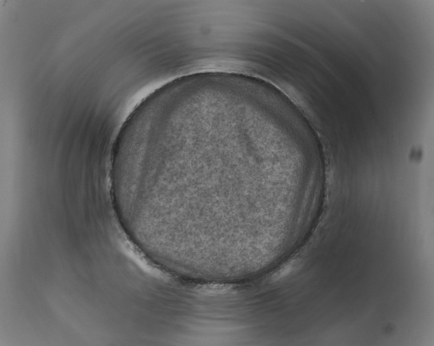 X0000112770846200909171311