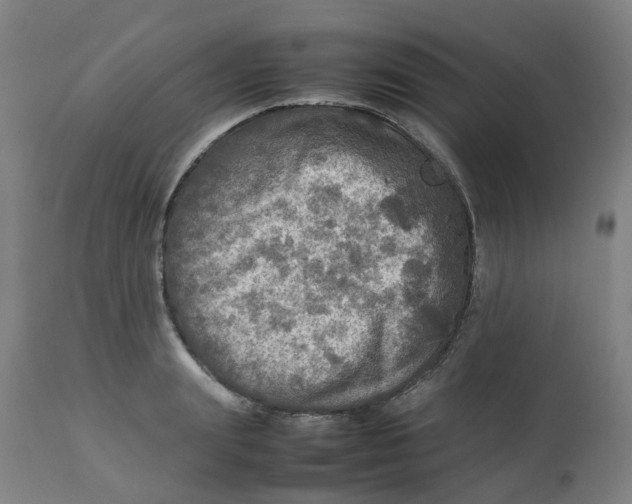 X0000112770847200909171311