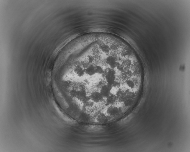 X0000112770849200909171311