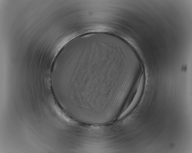 X0000112770850200909171311