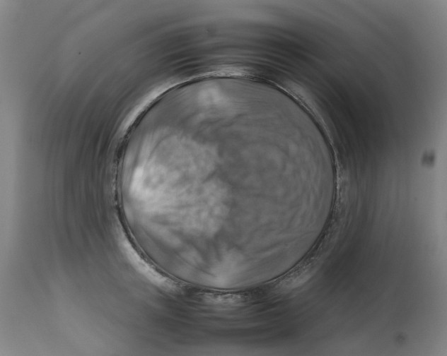 X0000112770851200909171311