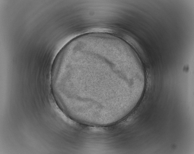 X0000112770852200909171311