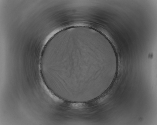 X0000112770853200909171311