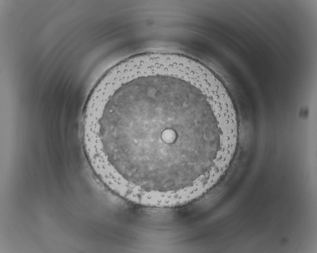 X0000112770856200909171311