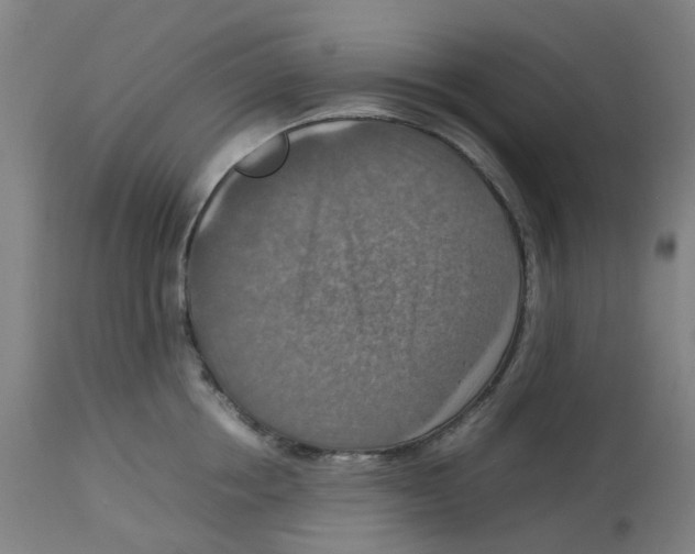 X0000112770858200909171311