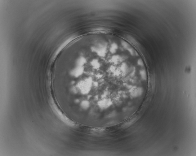 X0000112770859200909171311