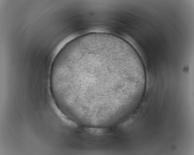 X0000112770861200909171311