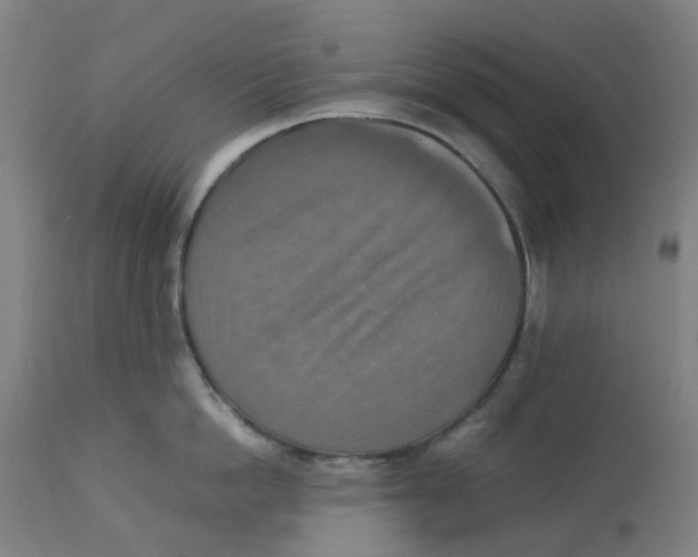 X0000112770862200909171311